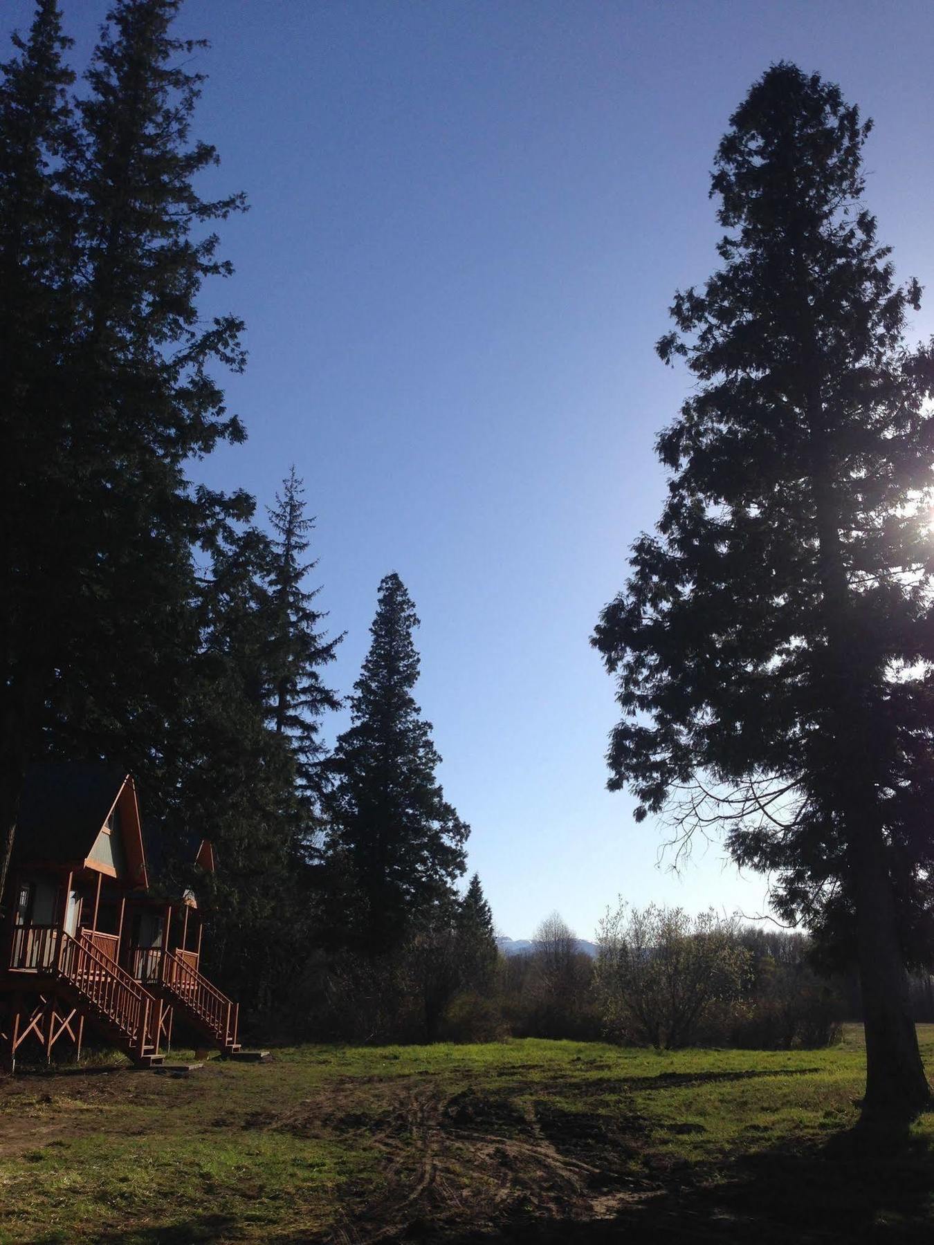 Hidden Acres Farm And Treehouse Resort Terrace Exterior photo